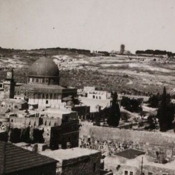 A View from the Tower of David
