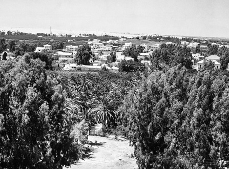 ريشون لتسيون: أول بلدة يقيمها المهاجرون اليهود الأوائل