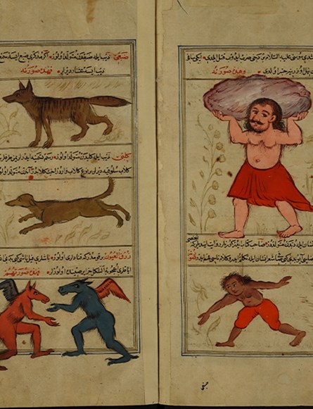 .القزويني، عجائب المخلوقات، 1659
