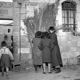 Preparations for Sukkot, 1955