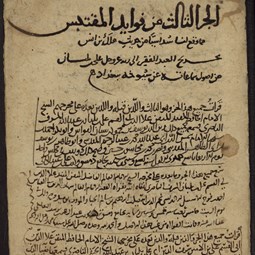 Balabān al-Nāṣirī's Fawāʾid al-muqtabas 