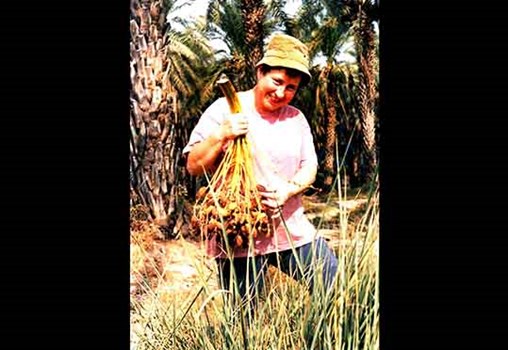 Tsippi Fleischer gathering palm branches in an orchard in Degania Aleph, to be used as percussion instruments for the premiere of her composition "Appeal to the Stars" op. 28, 1995