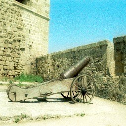 مدفع من حصار نابليون