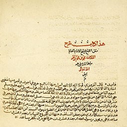 Ibn al-Hāʾim on computation
